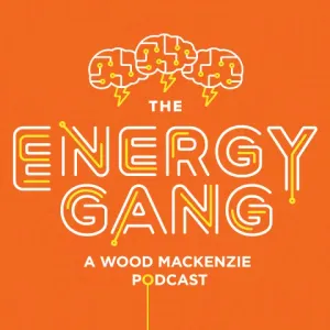 The Energy Gang